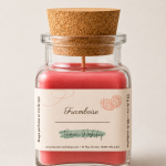 Bougie parfumée Framboise Tauriac Workshop