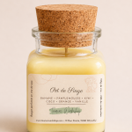 Bougie parfumée Pet de Singe Tauriac Workshop